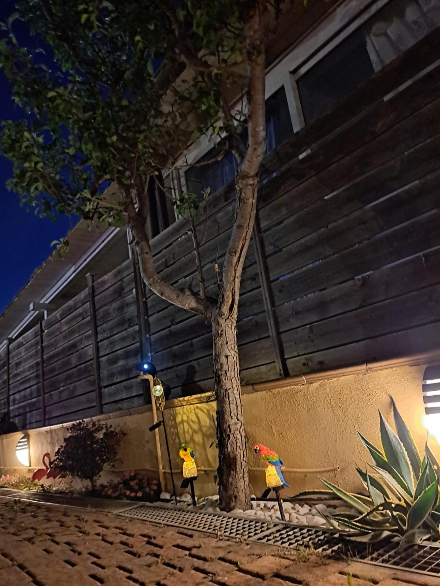 Holidays At The Dock - Airport Apartment Fiumicino